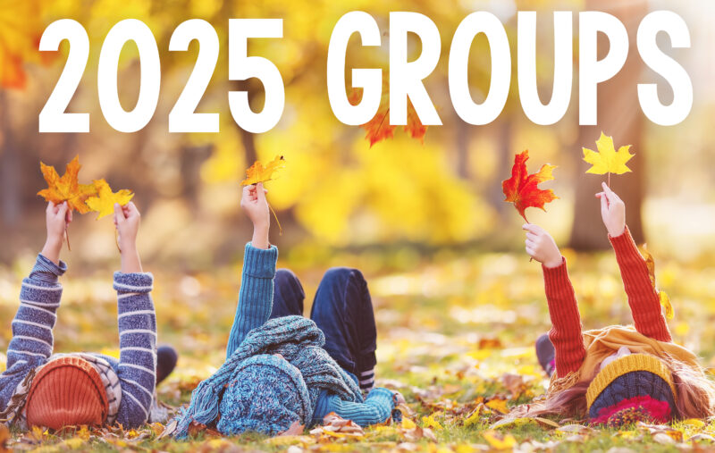 fall24-800x507 image